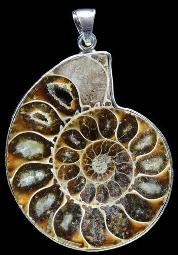 Fossil Ammonite Pendant - Million Years Old #89857